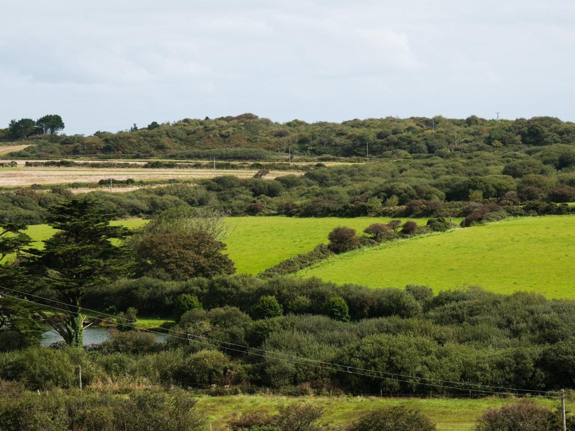 Rosecott Villa St Ives Eksteriør bilde